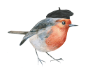 roodborstje roodborstje